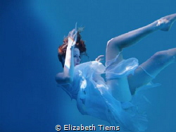 Taken in a pool, using scuba gear. Photoshop used to get ... by Elizabeth Tiems 